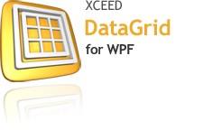 P_DataGrid-WPF_EN